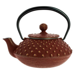 Tetera tradicional de hierro colado "Iwachu"