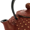 Tetera tradicional de hierro colado "Iwachu"