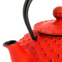 Tetera tradicional de hierro colado "Iwachu"