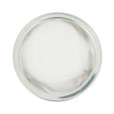 Filtro para Tetera Iwachu 5 cm | Recambio Original Japonés