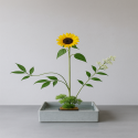 Kenzan rectangular 68x51mm Oferta