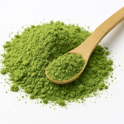 Té Verde Matcha en Polvo 1 Kg | Matcha Origen China para Bebidas y Repostería